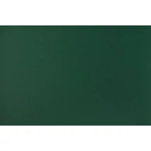 Agnona 145 Green umjetna koža
