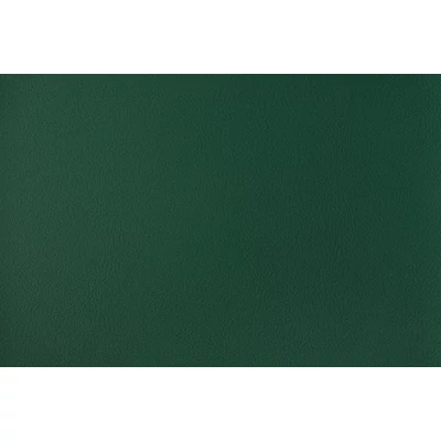 Agnona 145 Green umjetna koža